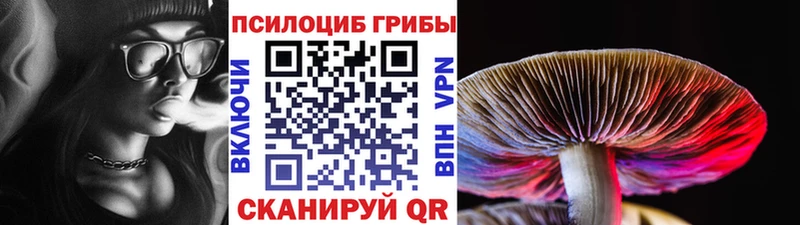 Псилоцибиновые грибы MAGIC MUSHROOMS Данилов