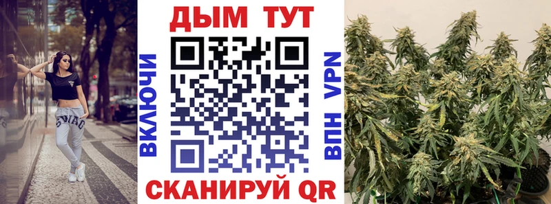 kraken ССЫЛКА  Данилов  Канабис OG Kush 